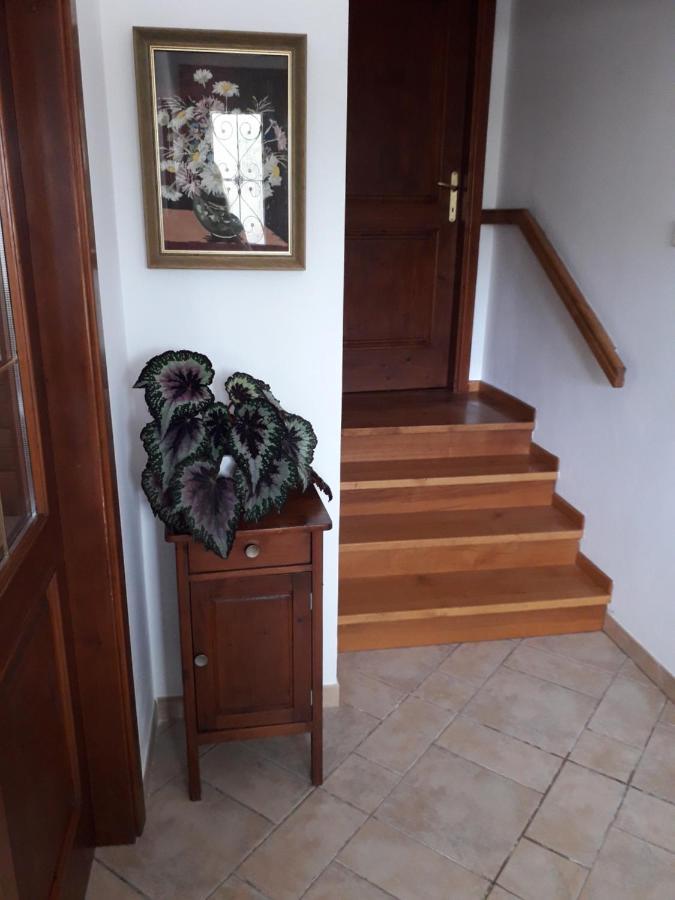 Appartement Vidin Raj à Vremski Britof Extérieur photo