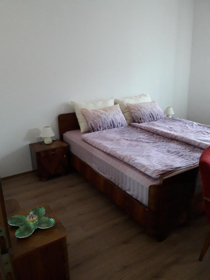 Appartement Vidin Raj à Vremski Britof Extérieur photo